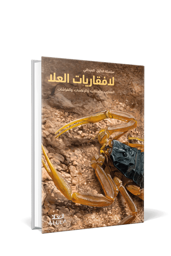 Invertebrates of AlUla