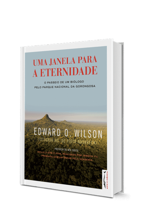 Uma Janela para a Eternidade