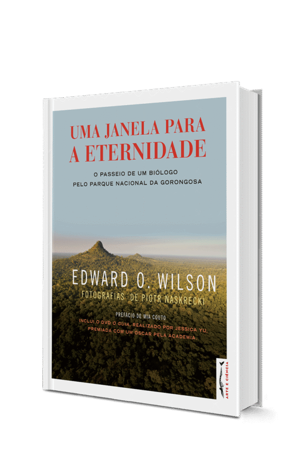 Uma Janela para a Eternidade