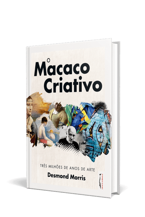 O Macaco Criativo