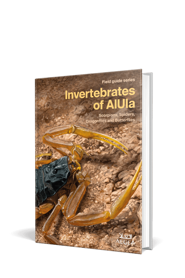 Invertebrates of AlUla [Ed. Arabe]