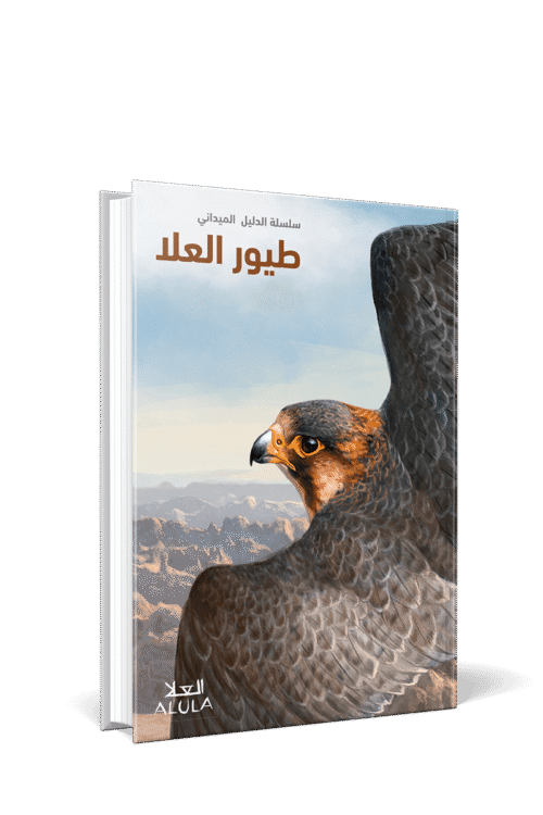 Brids of AlUla [Ed. Arabe]